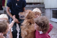 1981 Bild 15